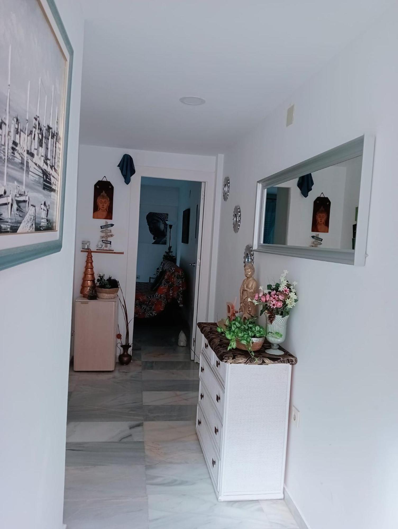 Apartamento Con Wifi, Mascotas Bienvenidas Benidorm Eksteriør billede