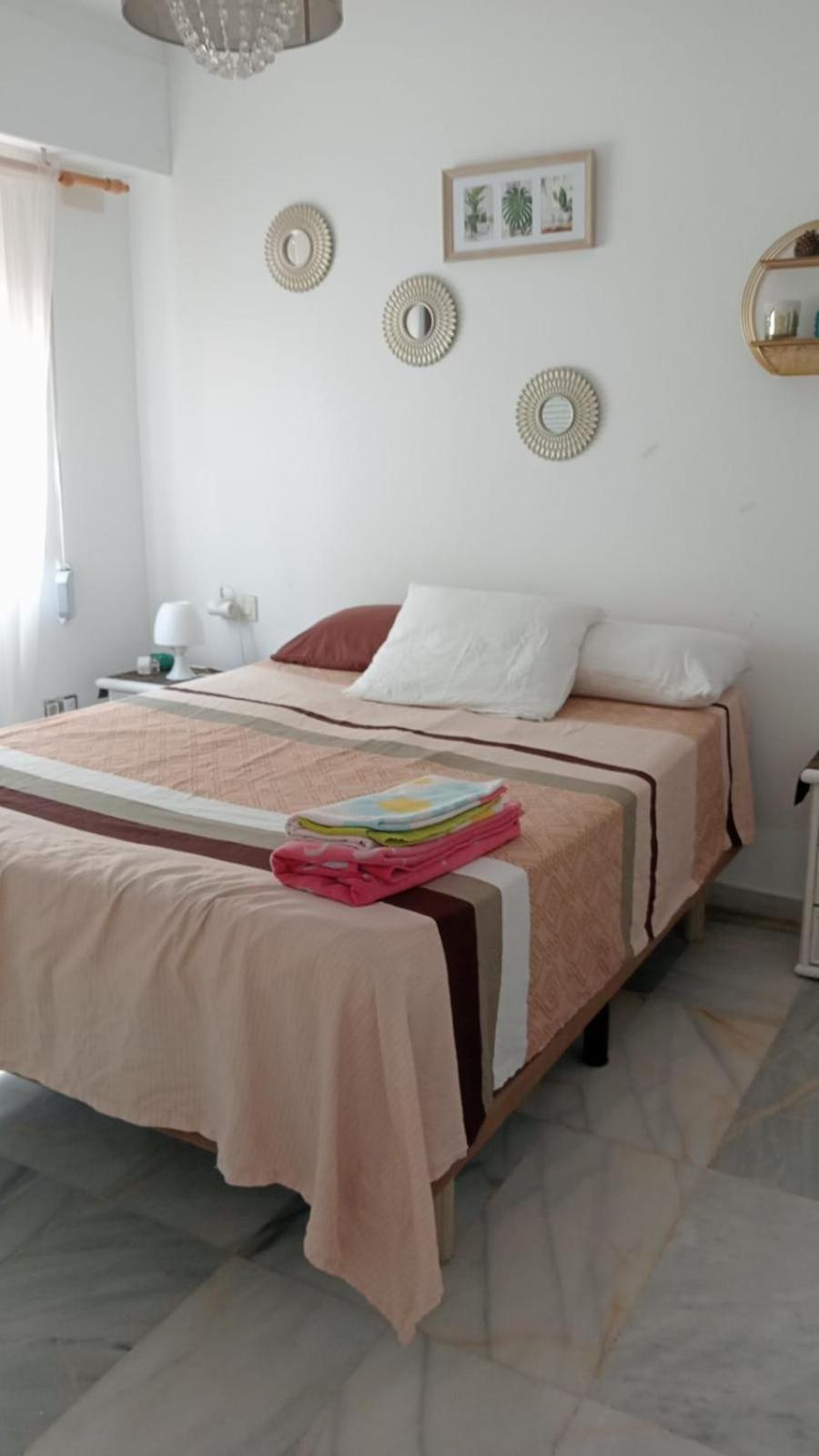 Apartamento Con Wifi, Mascotas Bienvenidas Benidorm Eksteriør billede